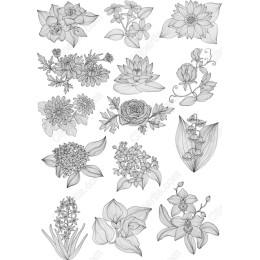 Floral Elegance Collection - 15 Premium Cliparts
