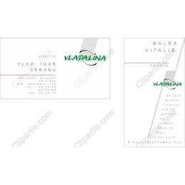 Modern Minimalist Business Card Template