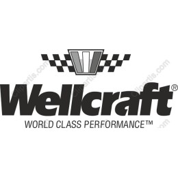 Wellcraft Logo - World Class Performance