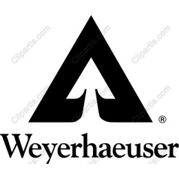 Modern Minimalist Logo