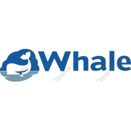 Majestic Whale