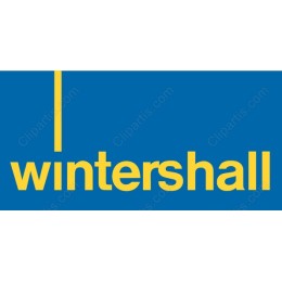 Blue and Yellow Premium Logo
