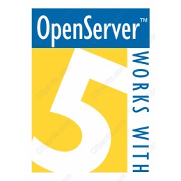 OpenServer Logo - Dynamic Server Solutions Graphic