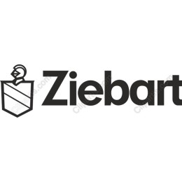 Ziebart Logo - Professional Branding Graphic