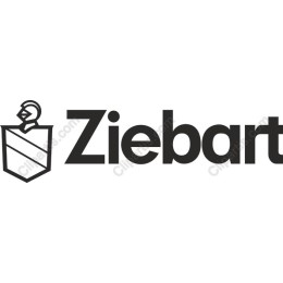 Professional Logo