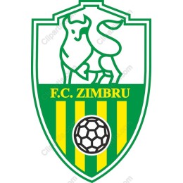 F.C. Zimbru Logo