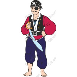 Vibrant Pirate Character