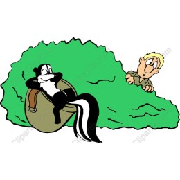 Playful Skunk