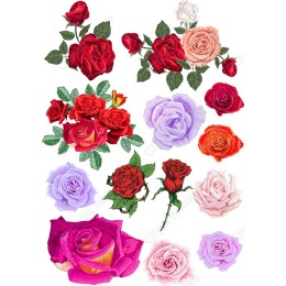  Rose Collection - Floral Clipart Bundle