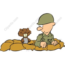 Charming Soldier and Beaver