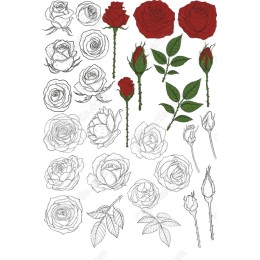 Elegant Rose Set