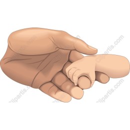 Tender Love: Hand Holding Baby Hand