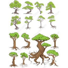 Bonsai Tree Set - Bundle