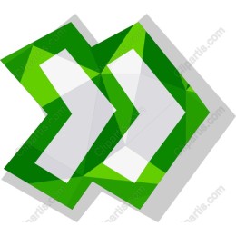 Dynamic Geometric