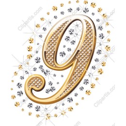 Glamorous Golden and Silver Number 9