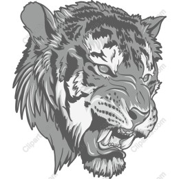 Fierce Tiger Head