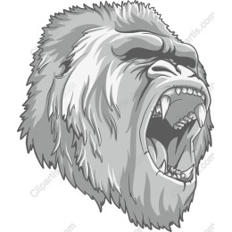 Fierce Roaring Gorilla Head
