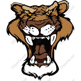 Roaring Tiger