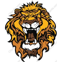 Fierce Lion Head