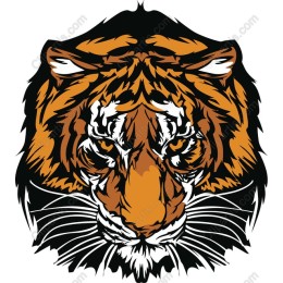 Fierce Tiger Head