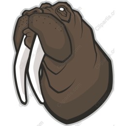 Walrus - Whimsical Marine Art