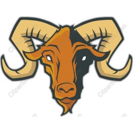 Vibrant Ram Head