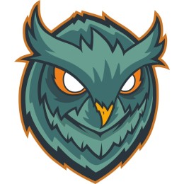 Stylized Fierce Owl