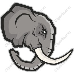 Majestic Elephant Head