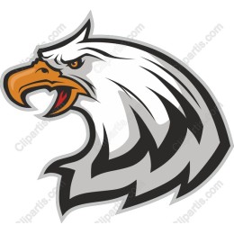 Fierce Eagle Head