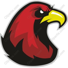 Fierce Eagle Head