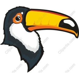 Vibrant Toucan Head