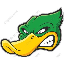 Fierce Cartoon Duck