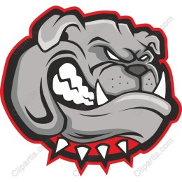 Fierce Bulldog