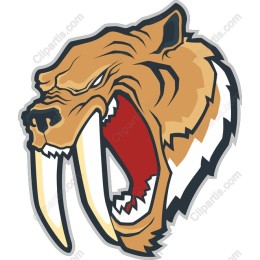 Fierce Walrus Head