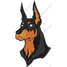 Doberman