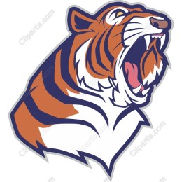 Roaring Tiger Head