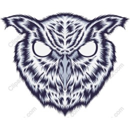 Mystical Owl Head Art
