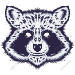 Majestic Raccoon Head