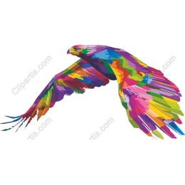 Colorful Soaring Eagle