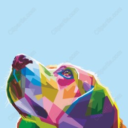 Colorful Canine