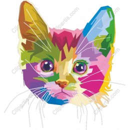 Vibrant Cat Face