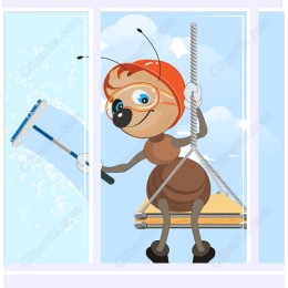 Ant Cleaning Window