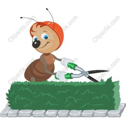 Cheerful Ant Pruning Hedge