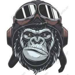Aviator Gorilla