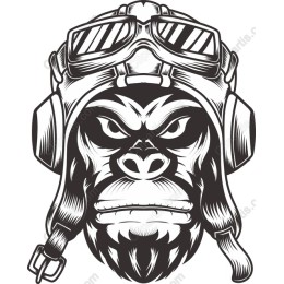 The Aviator Gorilla