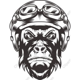 Fierce Gorilla Head
