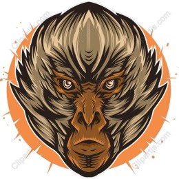 Intricate Monkey Face