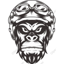 Gorilla Aviator