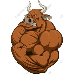 Muscular Bull
