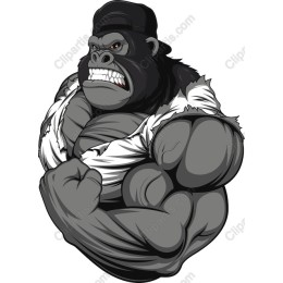 Muscular Gorilla